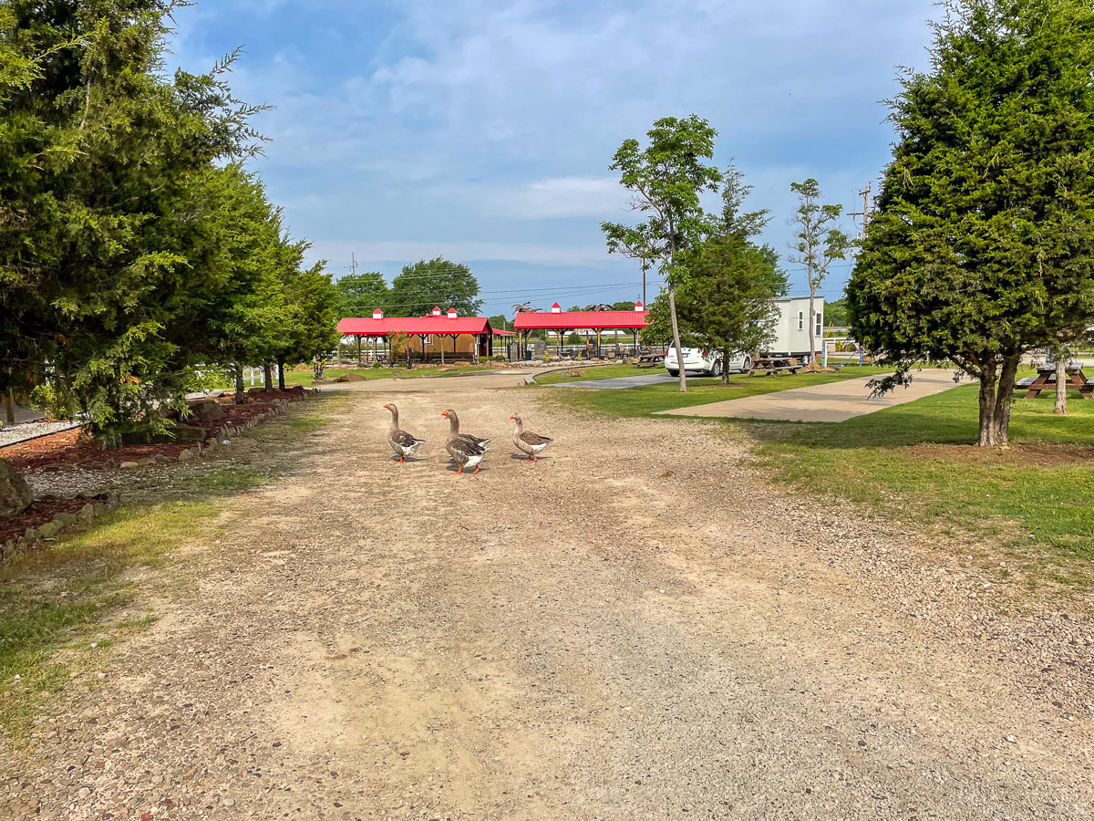 IMG_1894_2023-05-14 Eureka Springs, AR