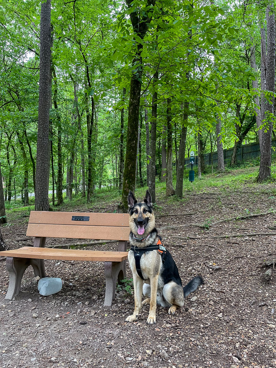 IMG_1923_2023-05-14 Eureka Springs, AR