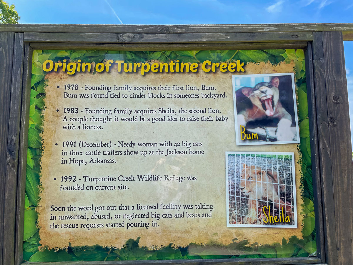 IMG_1981_2023-05-14 Eureka Springs, AR