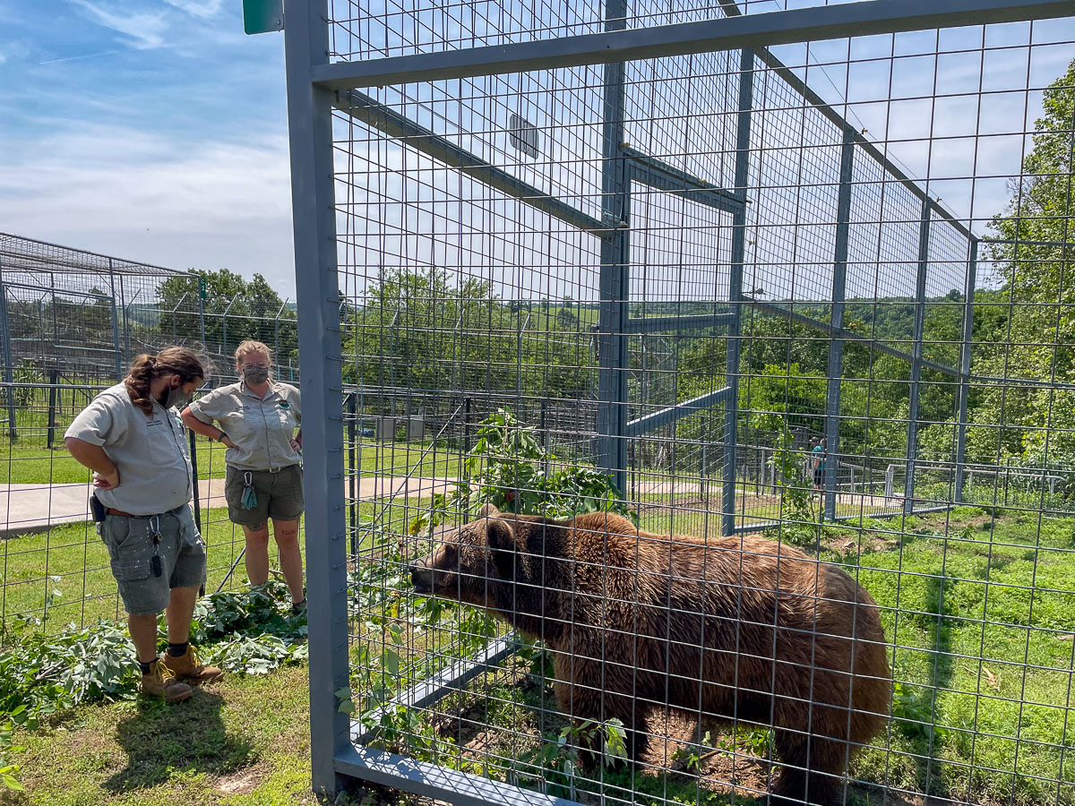 IMG_1985_2023-05-14 Eureka Springs, AR