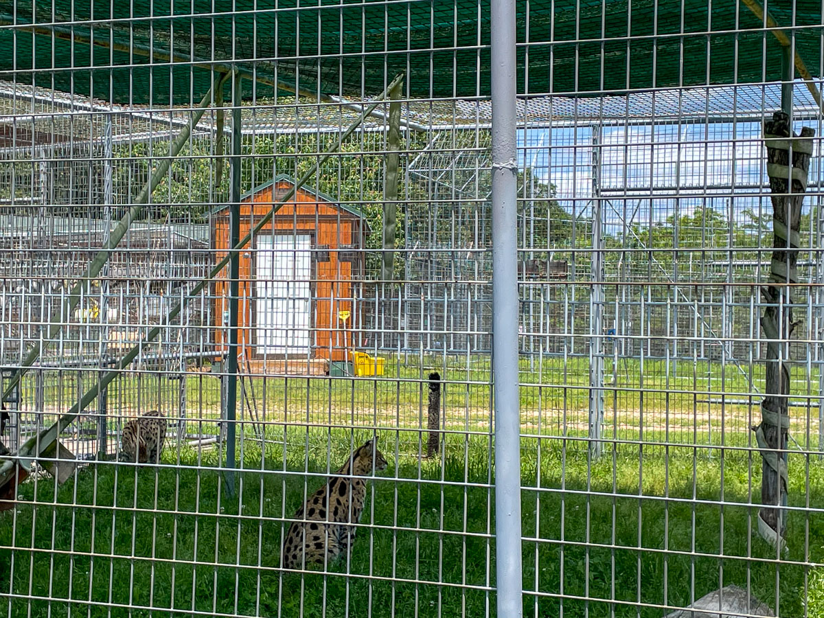 IMG_1991_2023-05-14 Eureka Springs, AR