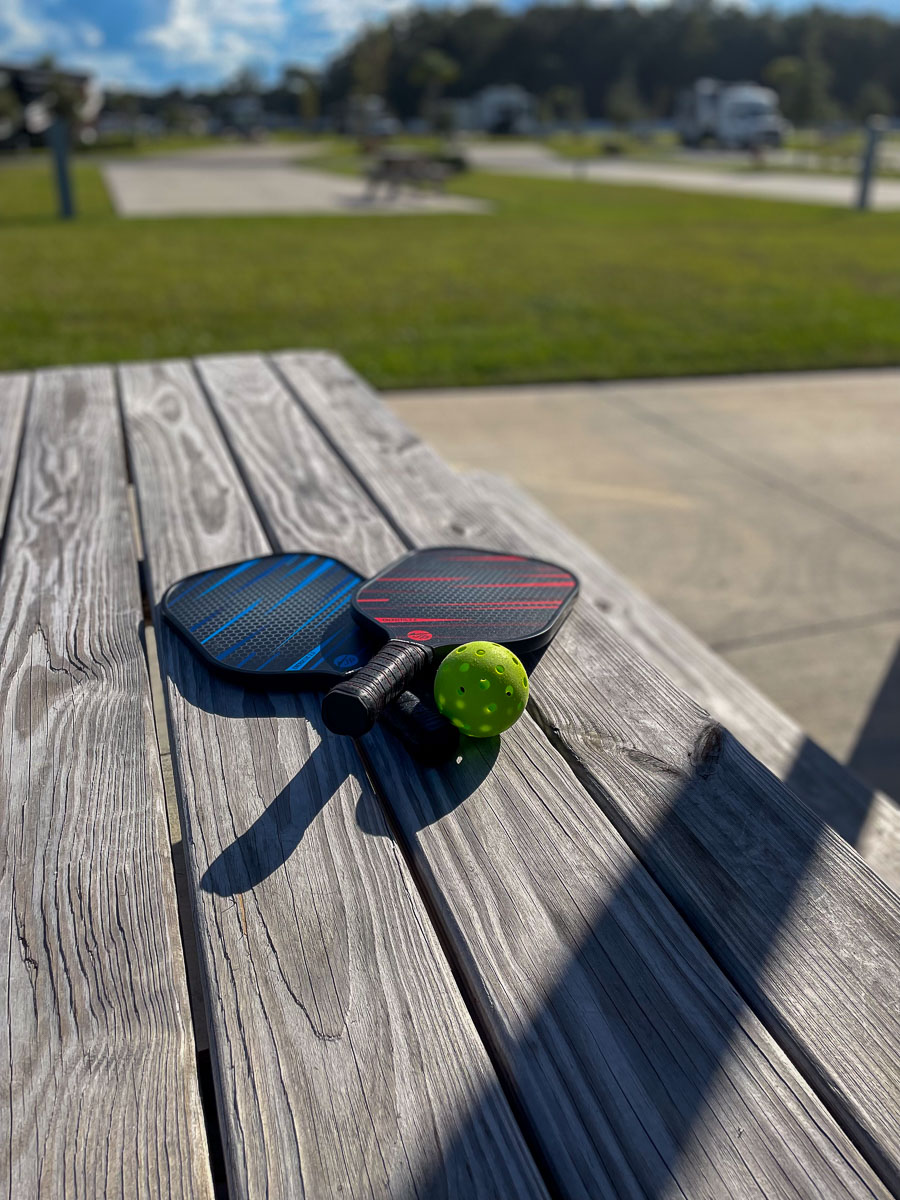 IMG_3038_2023-11-12 Ocala, FL