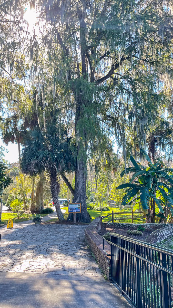 IMG_3058_2023-11-12 Ocala, FL