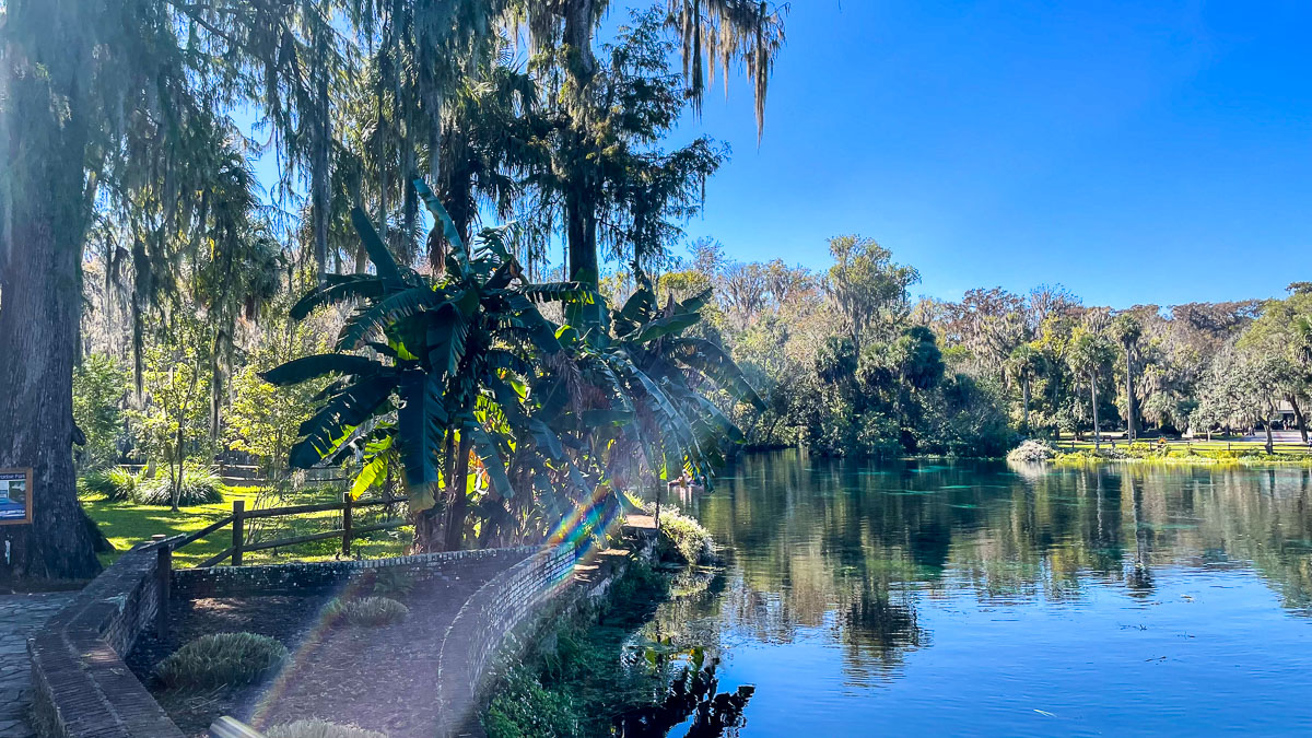 IMG_3059_2023-11-12 Ocala, FL