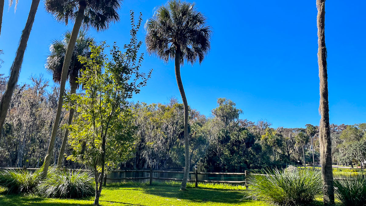 IMG_3060_2023-11-12 Ocala, FL