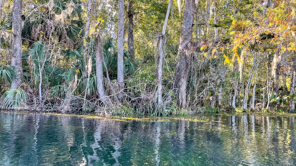 IMG_3075_2023-11-12 Ocala, FL