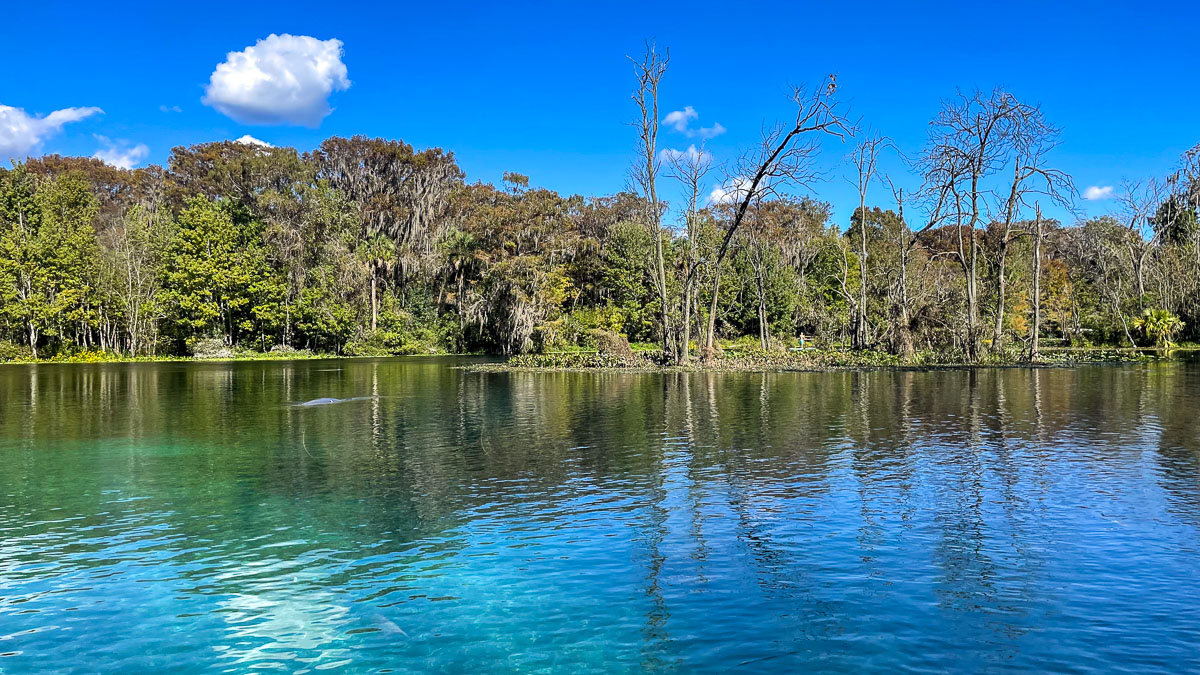 IMG_3077_2023-11-12 Ocala, FL