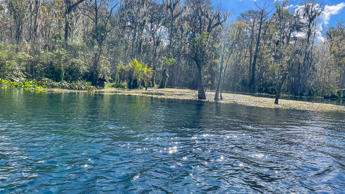 IMG_3086_2023-11-12 Ocala, FL