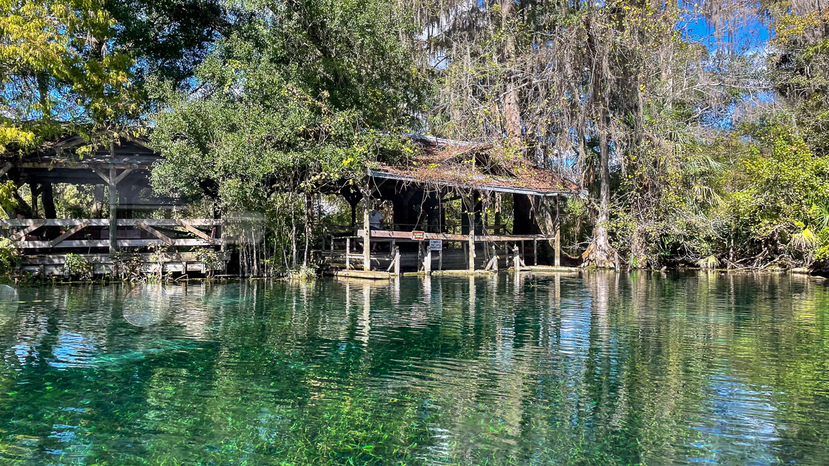 IMG_3092_2023-11-12 Ocala, FL