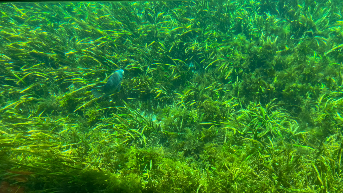 IMG_3093_2023-11-12 Ocala, FL