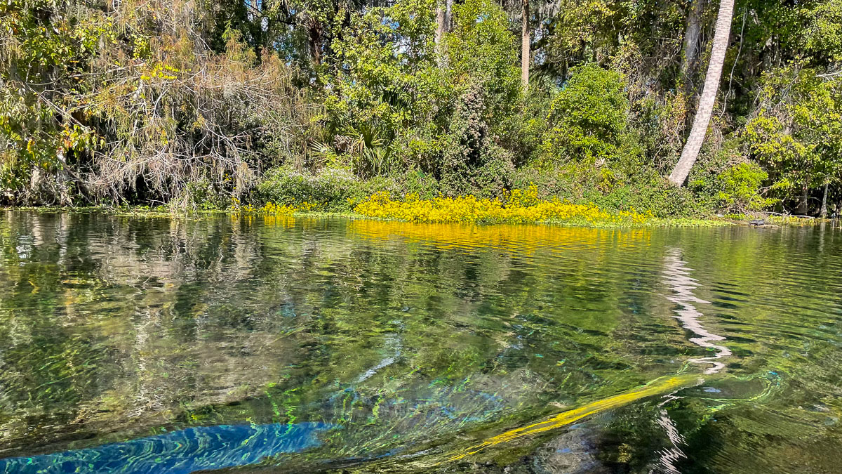 IMG_3098_2023-11-12 Ocala, FL