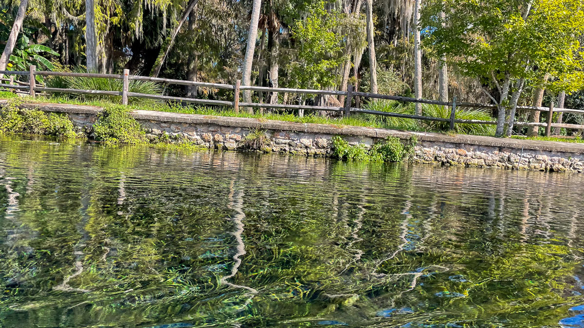 IMG_3099_2023-11-12 Ocala, FL