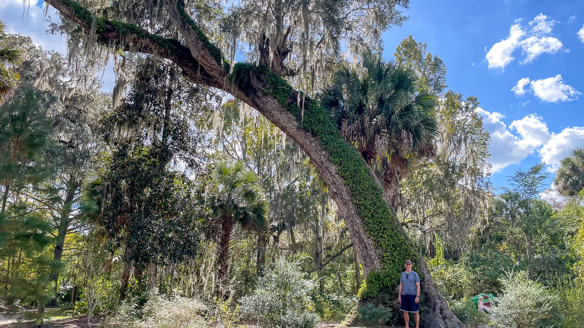 IMG_3104_2023-11-12 Ocala, FL