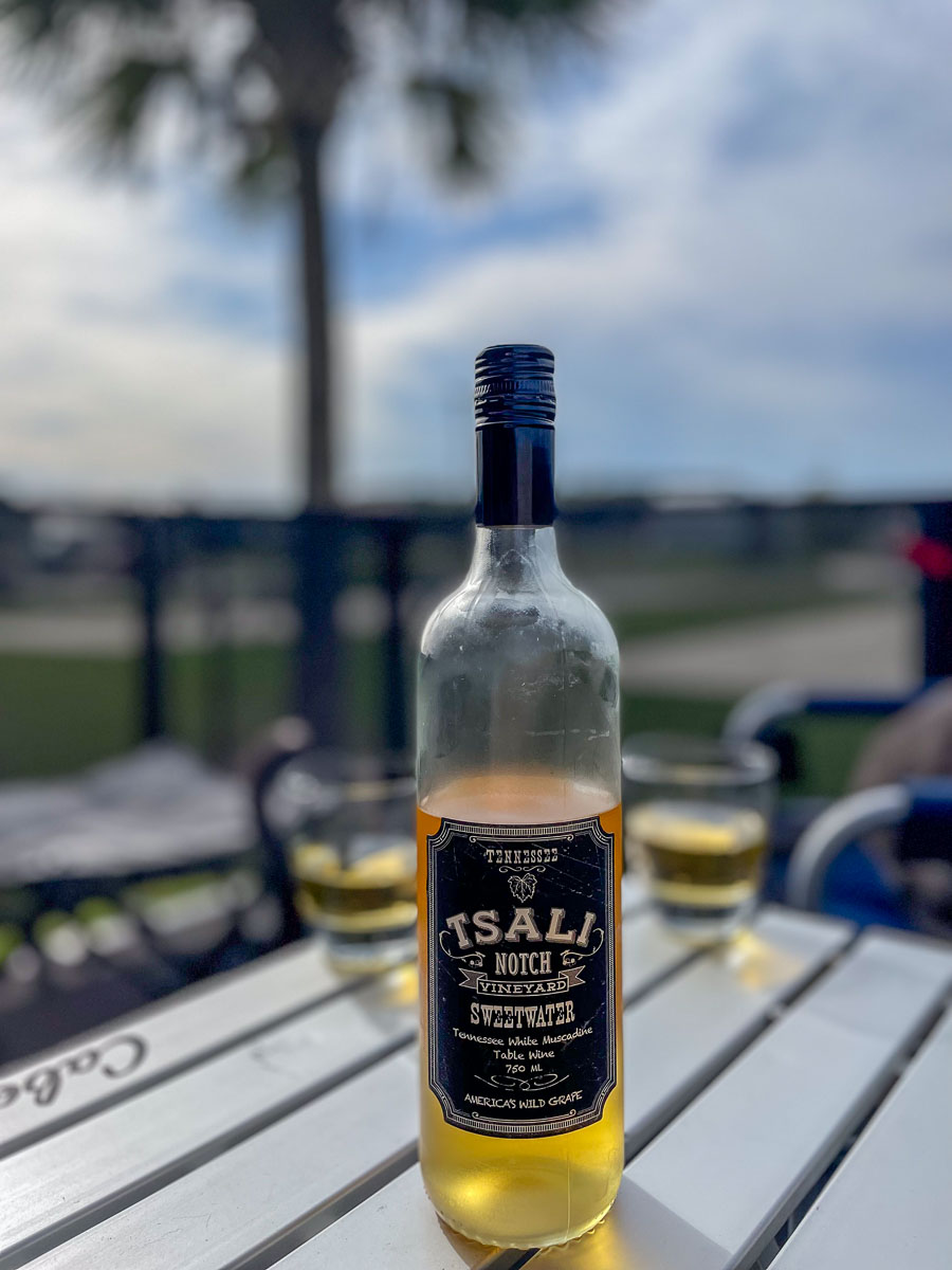 IMG_3118_2023-11-12 Ocala, FL