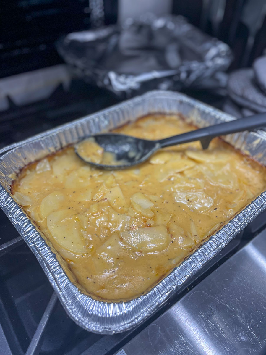 IMG_3130_2023-11-12 Ocala, FL