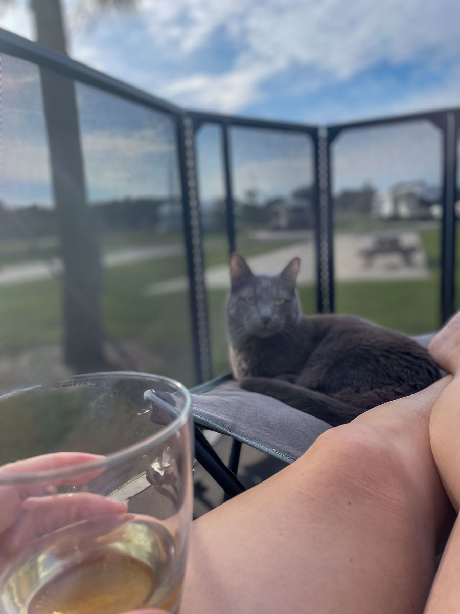 IMG_3143_2023-11-12 Ocala, FL