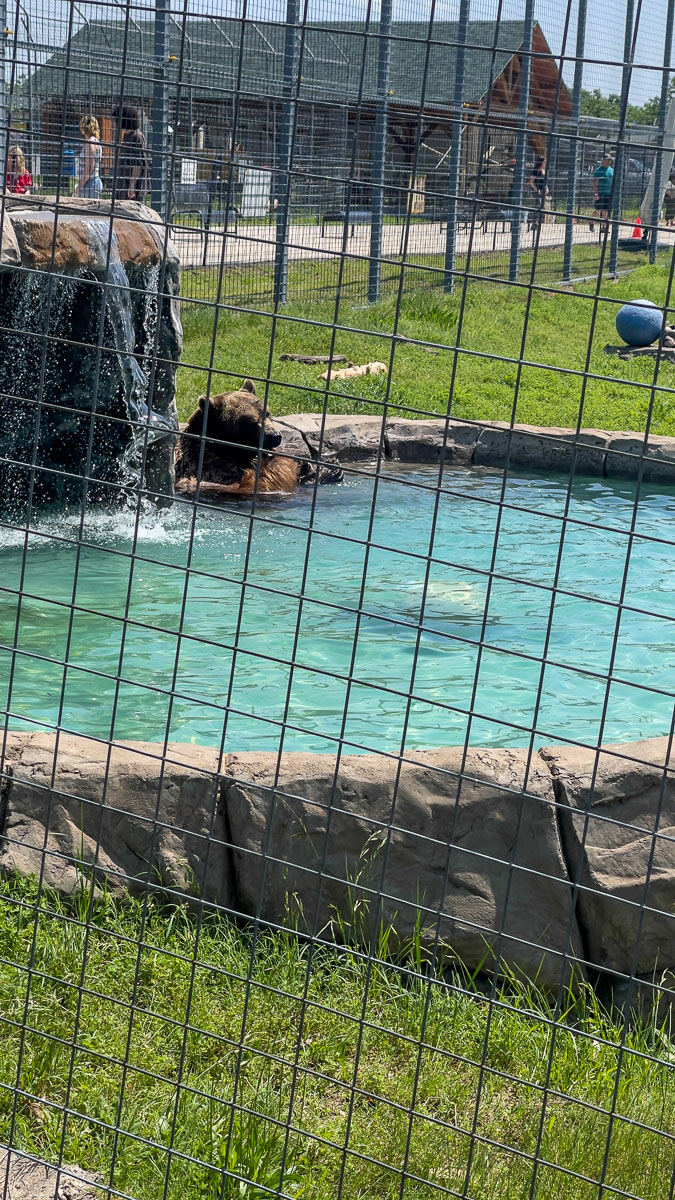 IMG_7745_2023-05-14 Eureka Springs, AR