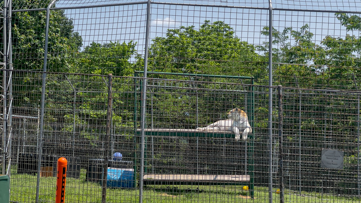 IMG_7749_2023-05-14 Eureka Springs, AR