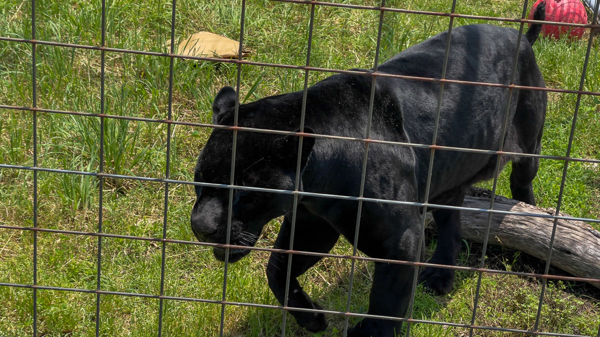 IMG_7760_2023-05-14 Eureka Springs, AR