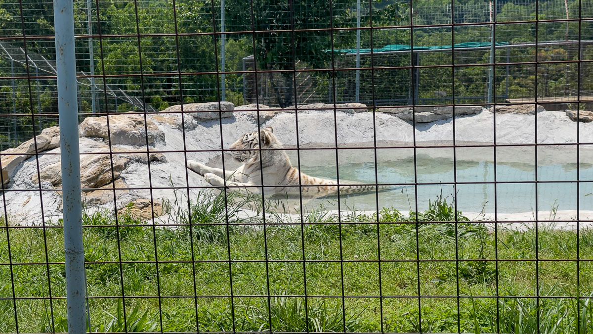 IMG_7762_2023-05-14 Eureka Springs, AR