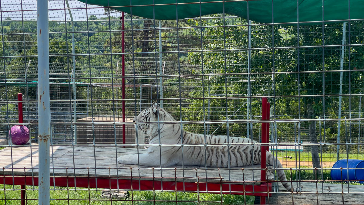 IMG_7763_2023-05-14 Eureka Springs, AR