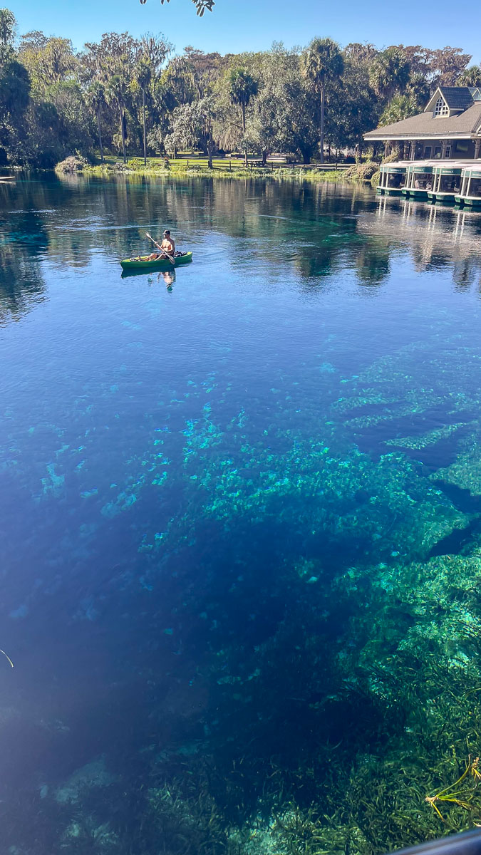 IMG_8516_2023-11-12 Ocala, FL