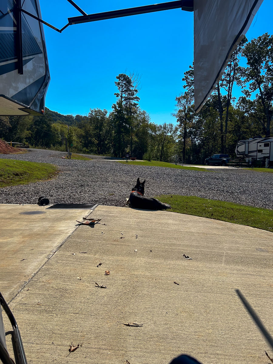 IMG_0109_2024-10-01 Ocoee TN