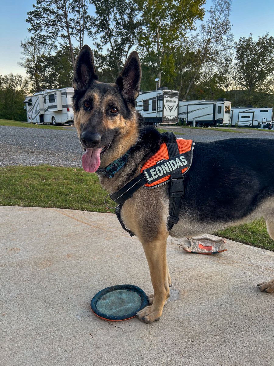 IMG_0137_2024-10-01 Ocoee TN