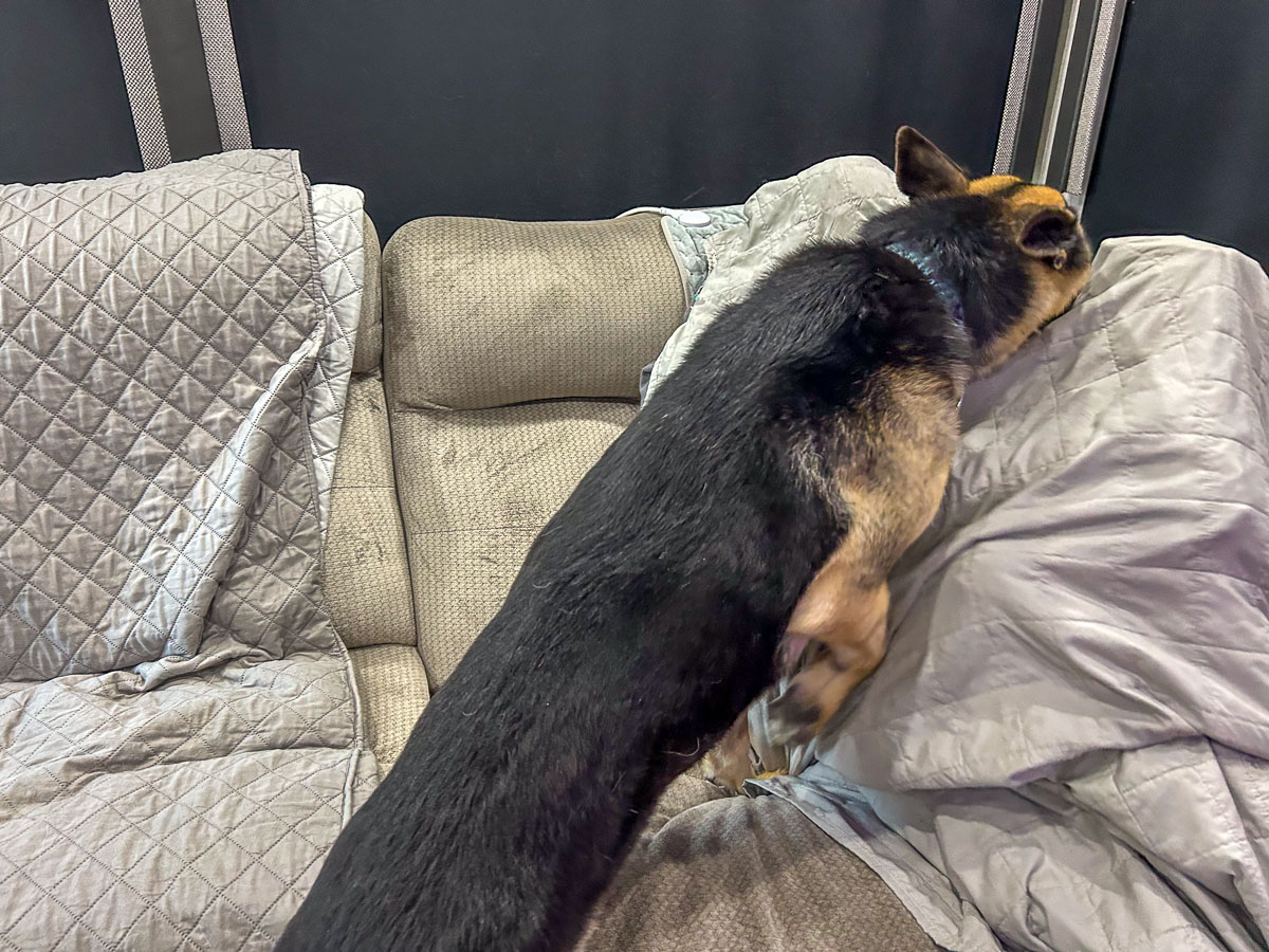 IMG_0151_2024-10-01 Ocoee TN