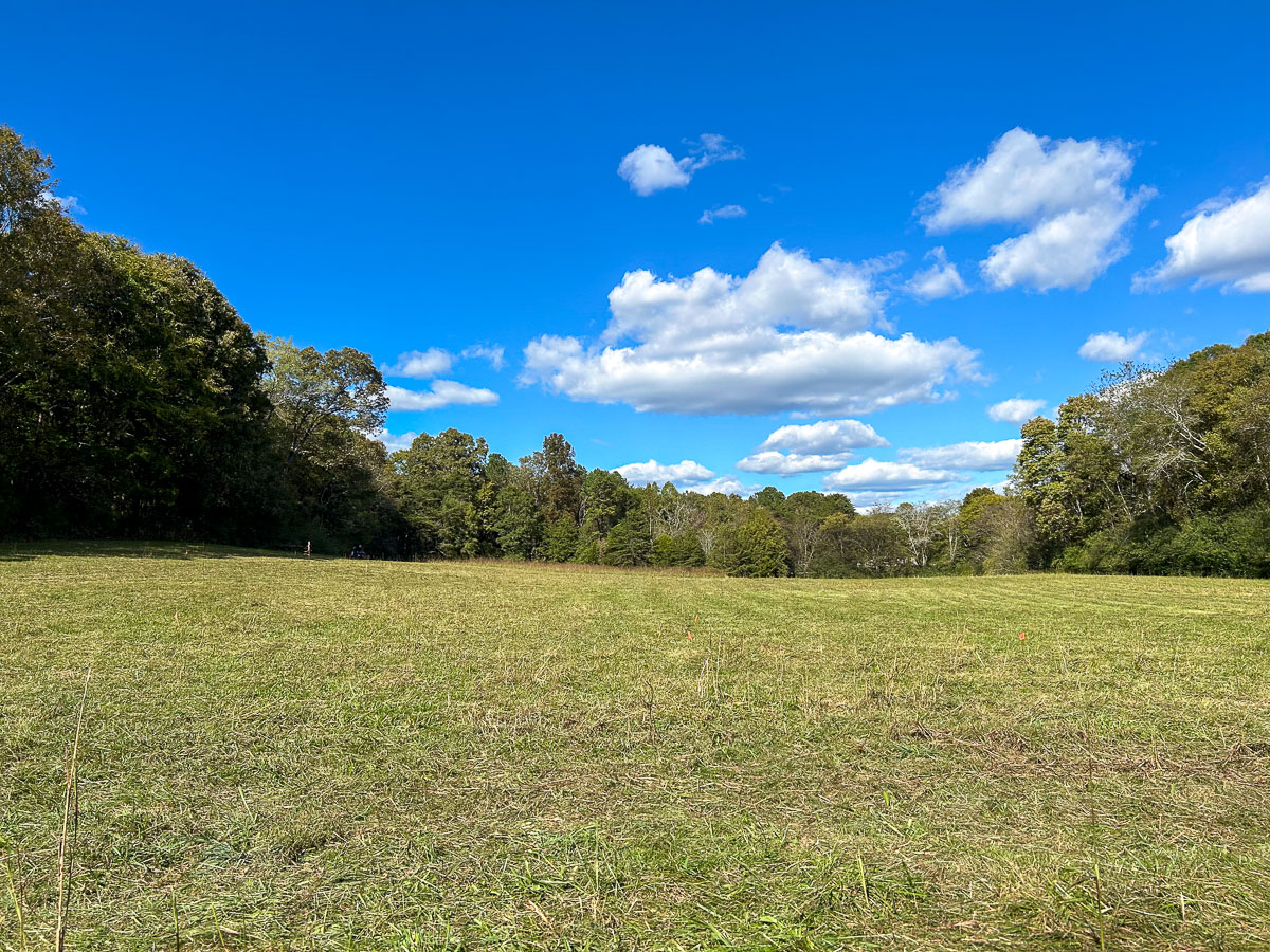 IMG_0163_2024-10-01 Ocoee TN