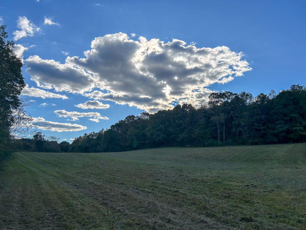 IMG_0174_2024-10-01 Ocoee TN