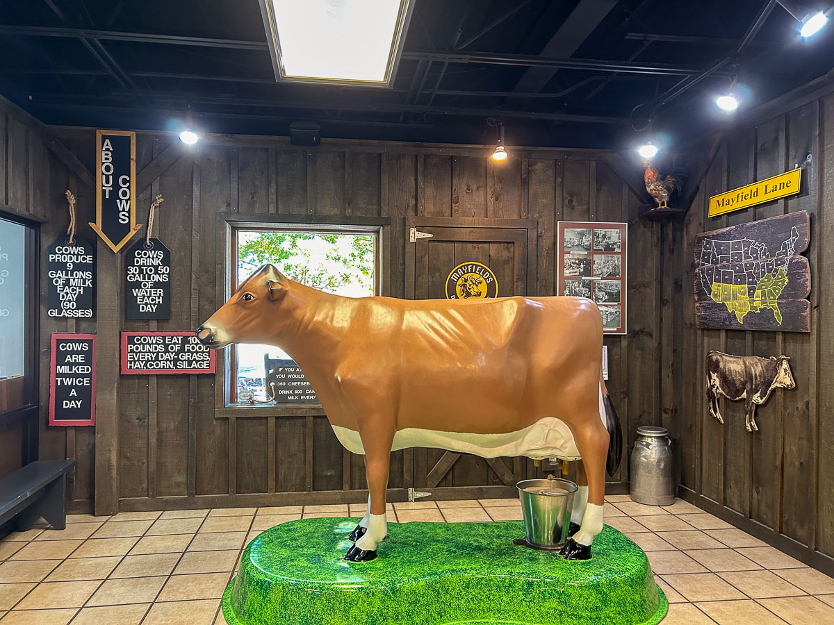 IMG_0182_2024-10-01 Ocoee TN