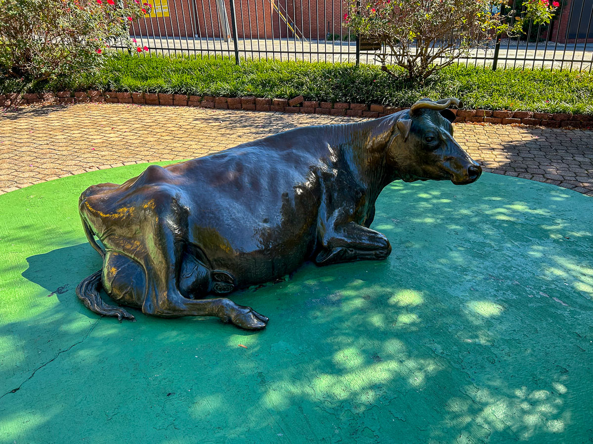 IMG_0184_2024-10-01 Ocoee TN