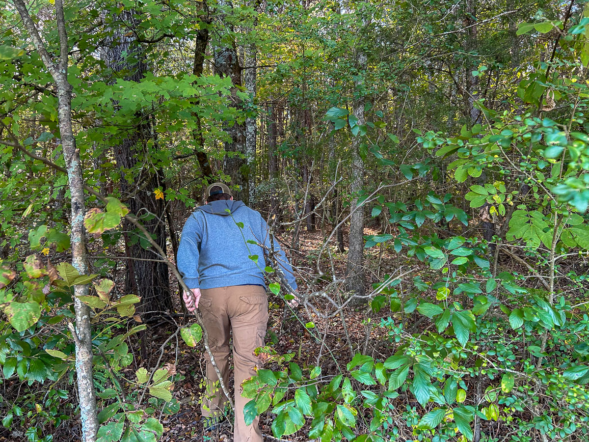 IMG_0189_2024-10-01 Ocoee TN