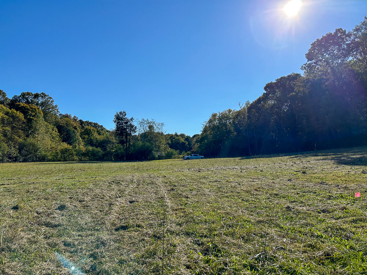 IMG_0193_2024-10-01 Ocoee TN