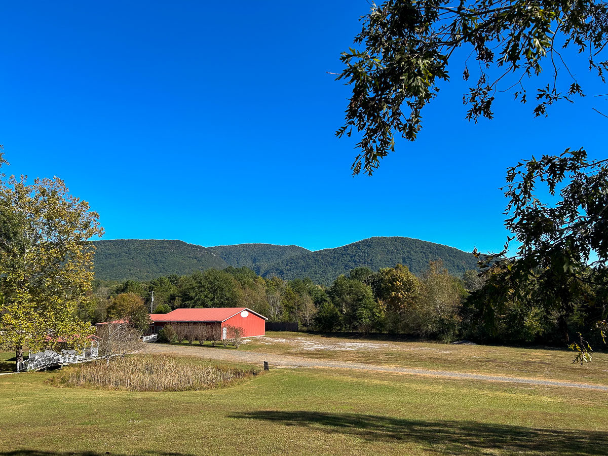 IMG_0205_2024-10-01 Ocoee TN
