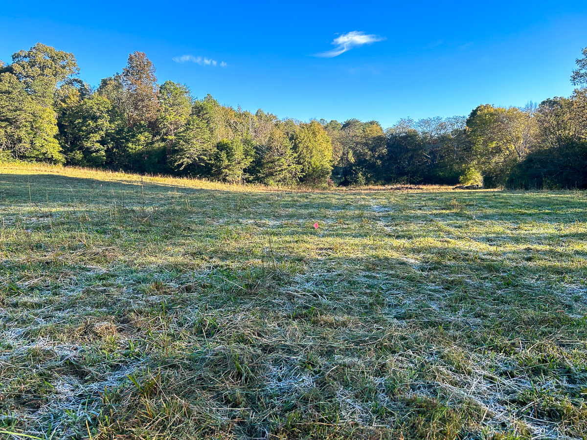 IMG_0219_2024-10-01 Ocoee TN