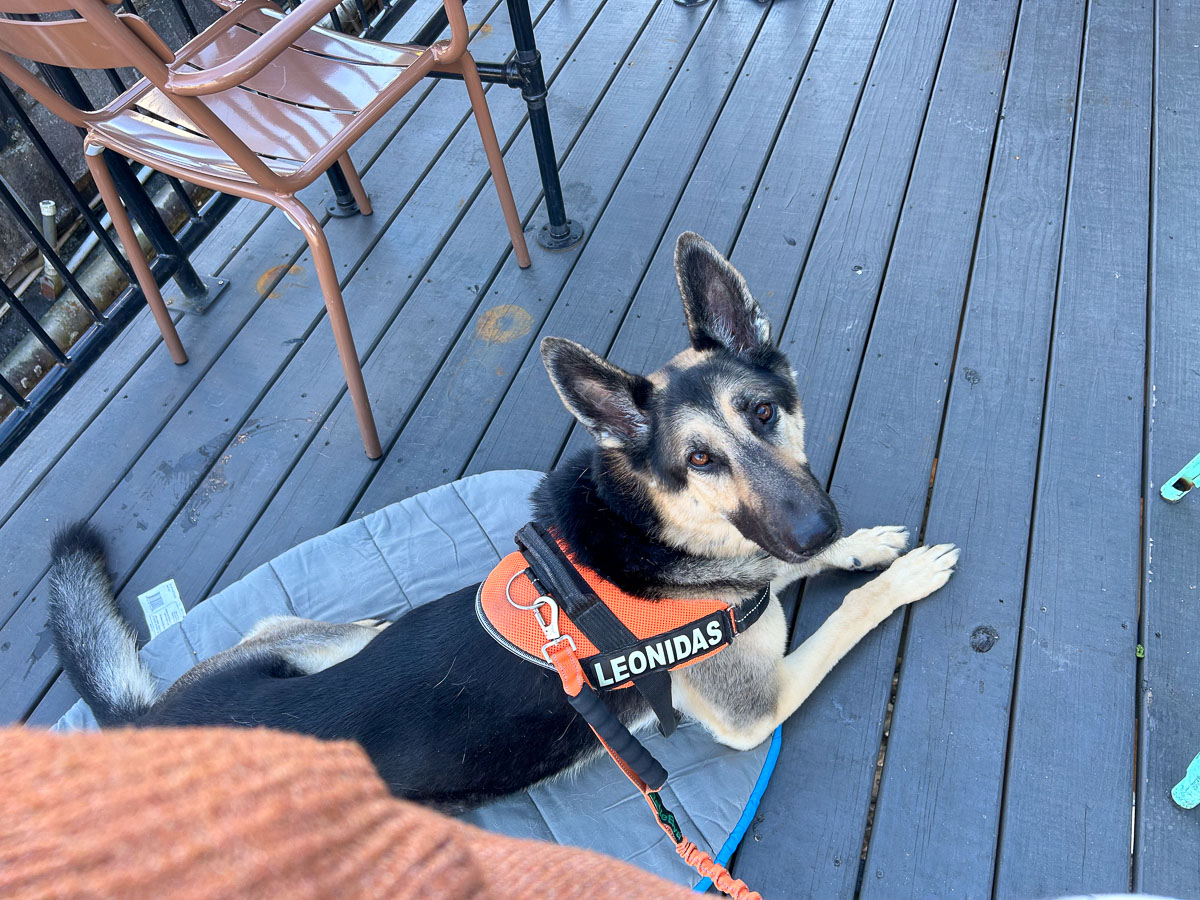 IMG_0221_2024-10-01 Ocoee TN