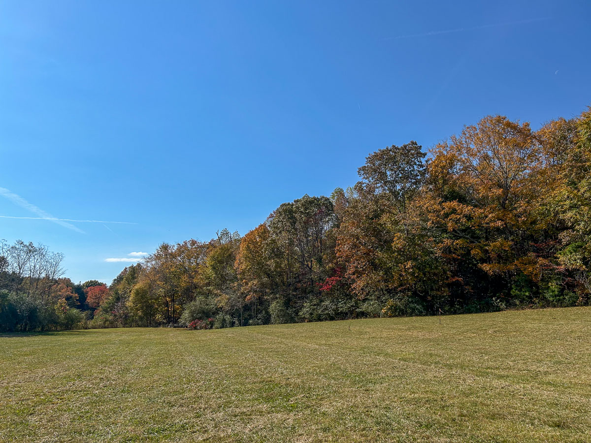 IMG_0246_2024-10-01 Ocoee TN