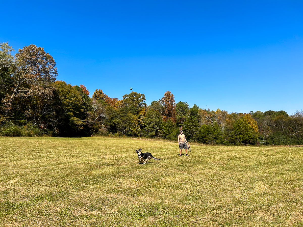 IMG_0249_2024-10-01 Ocoee TN