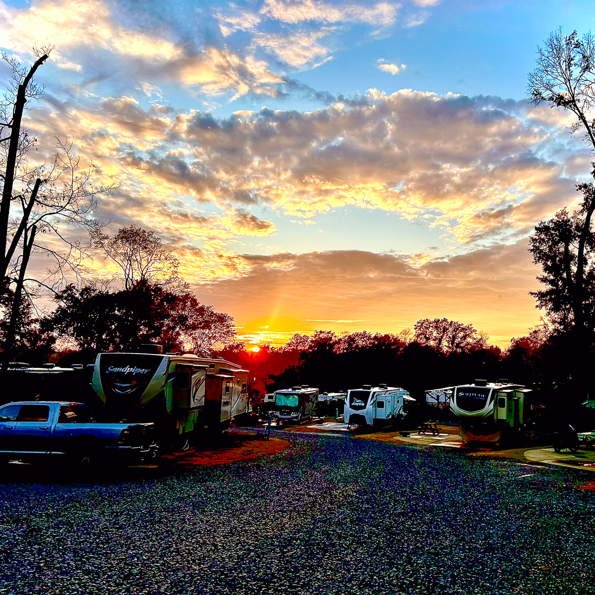 IMG_0261_1_2024-10-01 Ocoee TN