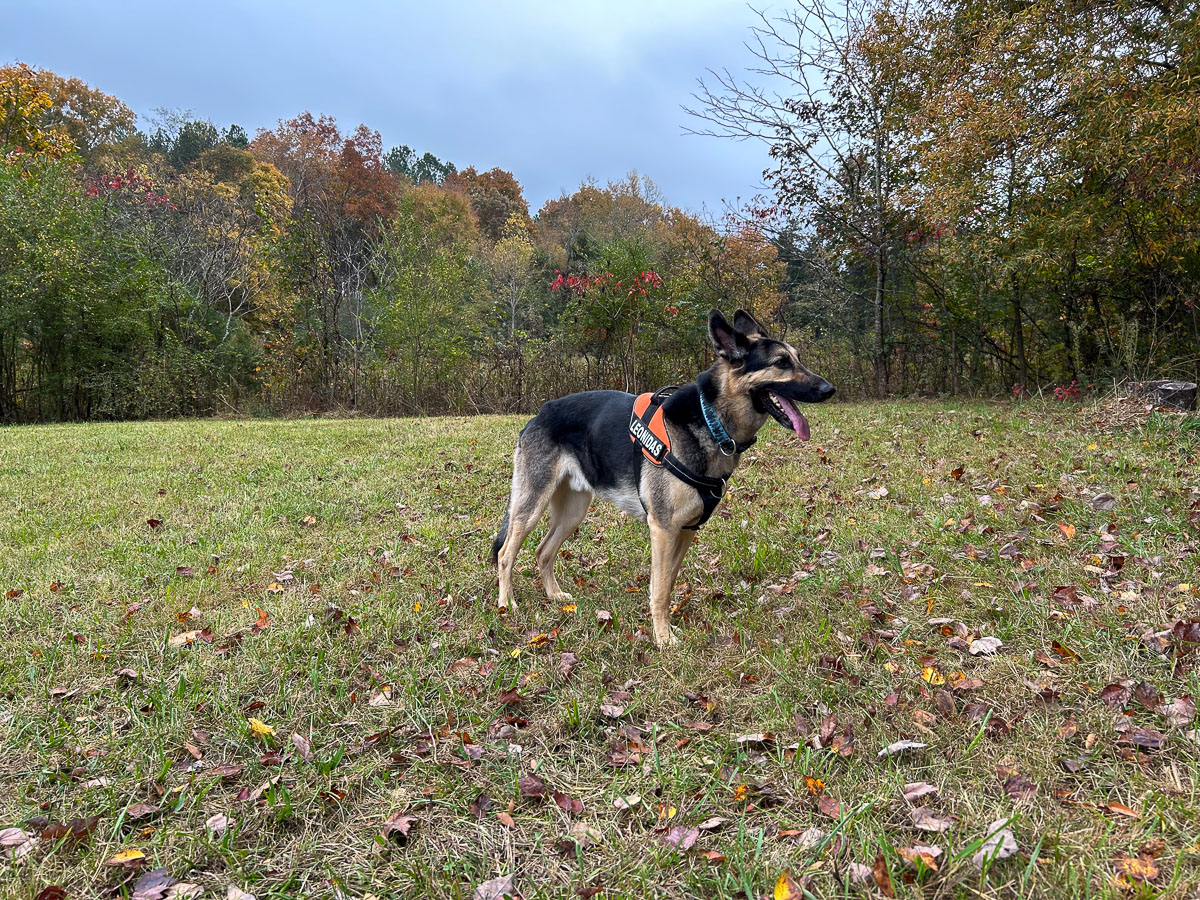 IMG_0268_2024-10-01 Ocoee TN