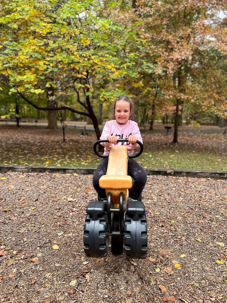 IMG_0275_2024-10-01 Ocoee TN