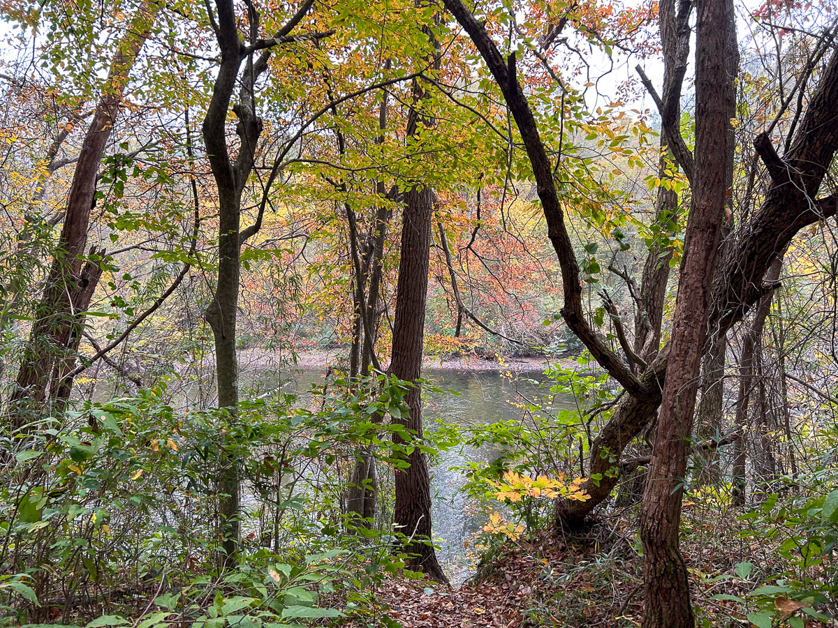 IMG_0279_2024-10-01 Ocoee TN