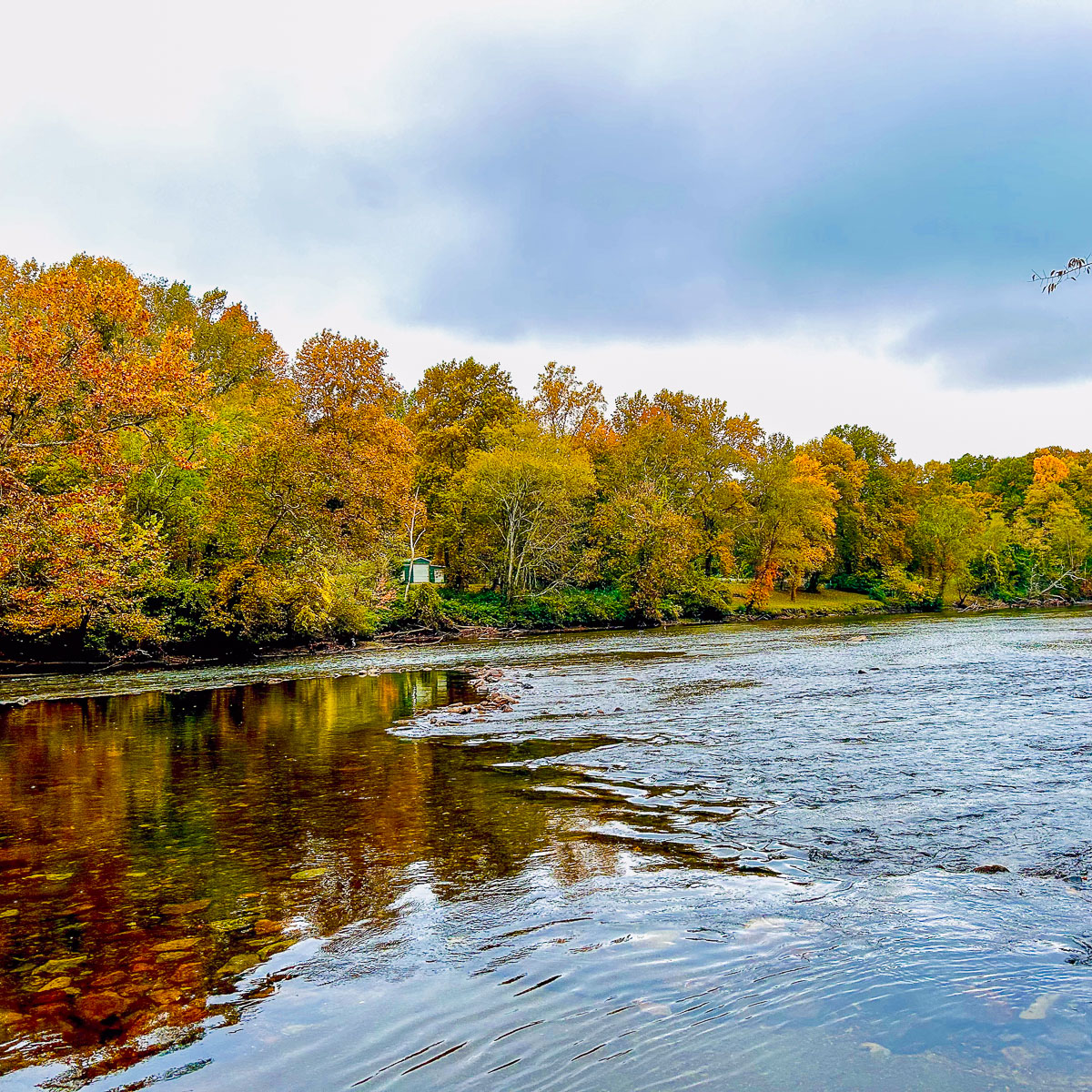 IMG_0280_2024-10-01 Ocoee TN