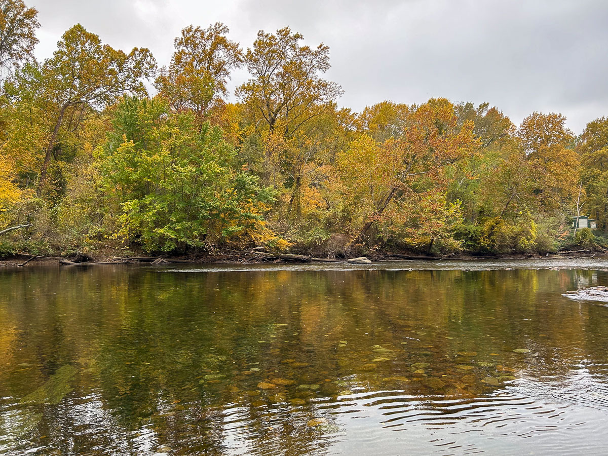 IMG_0281_2024-10-01 Ocoee TN