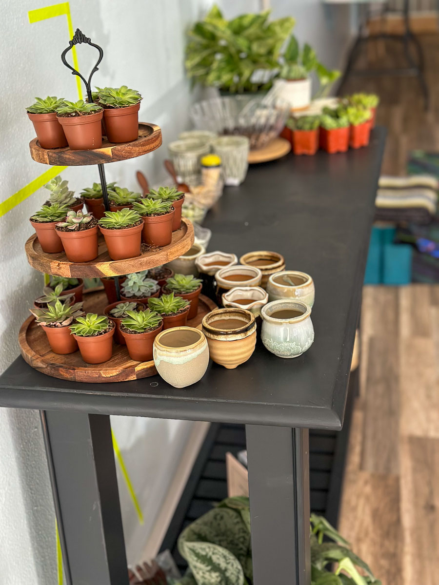 IMG_2256_2024-01 Lake Wales FL