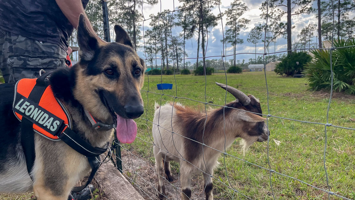 IMG_3186_2024-01 Lake Wales FL