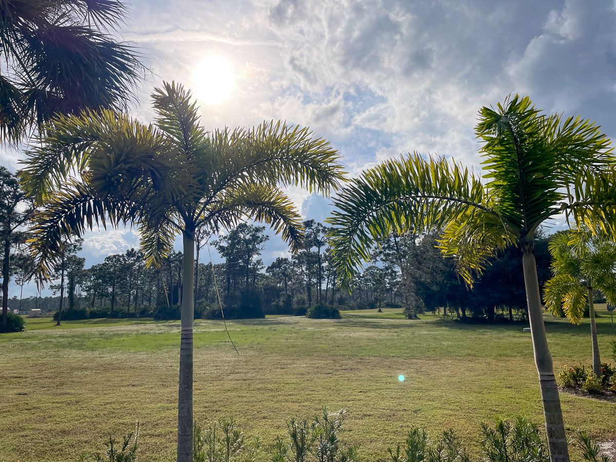 IMG_3189_2024-01 Lake Wales FL