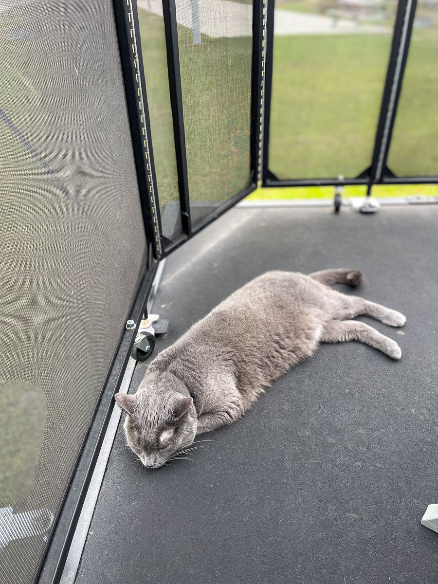 IMG_3195_2024-01 Lake Wales FL